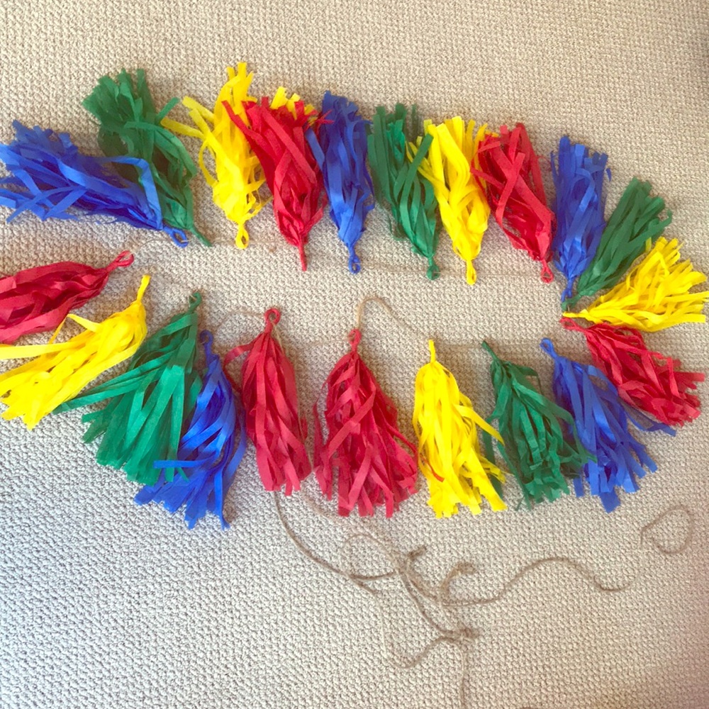 Tassel Tissue Paper Garland/Banner